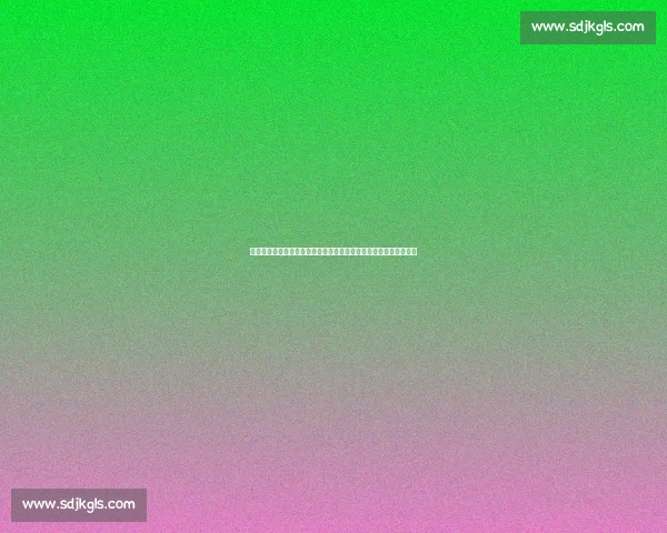 即使你我之间没有归属感，我们依然能共同度过那段属于彼此的时光